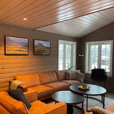 Cozy And Modern In Beitobygda
